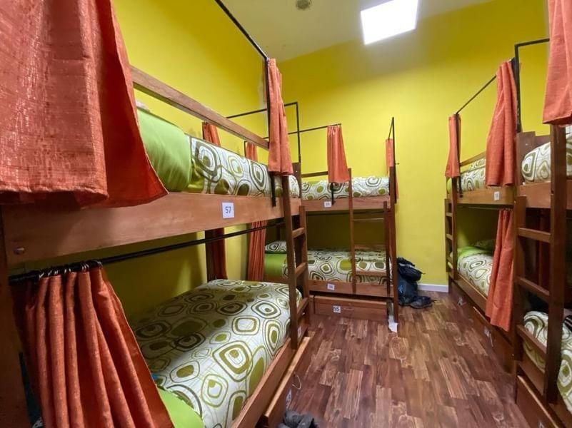 Saint Peter'S Llama Hostal La Paz Extérieur photo