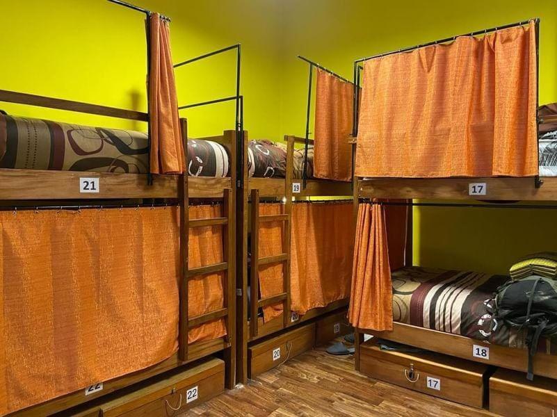 Saint Peter'S Llama Hostal La Paz Extérieur photo