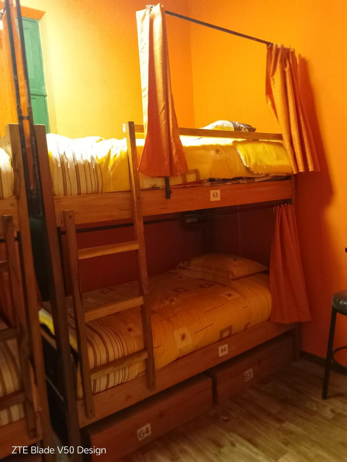 Saint Peter'S Llama Hostal La Paz Extérieur photo