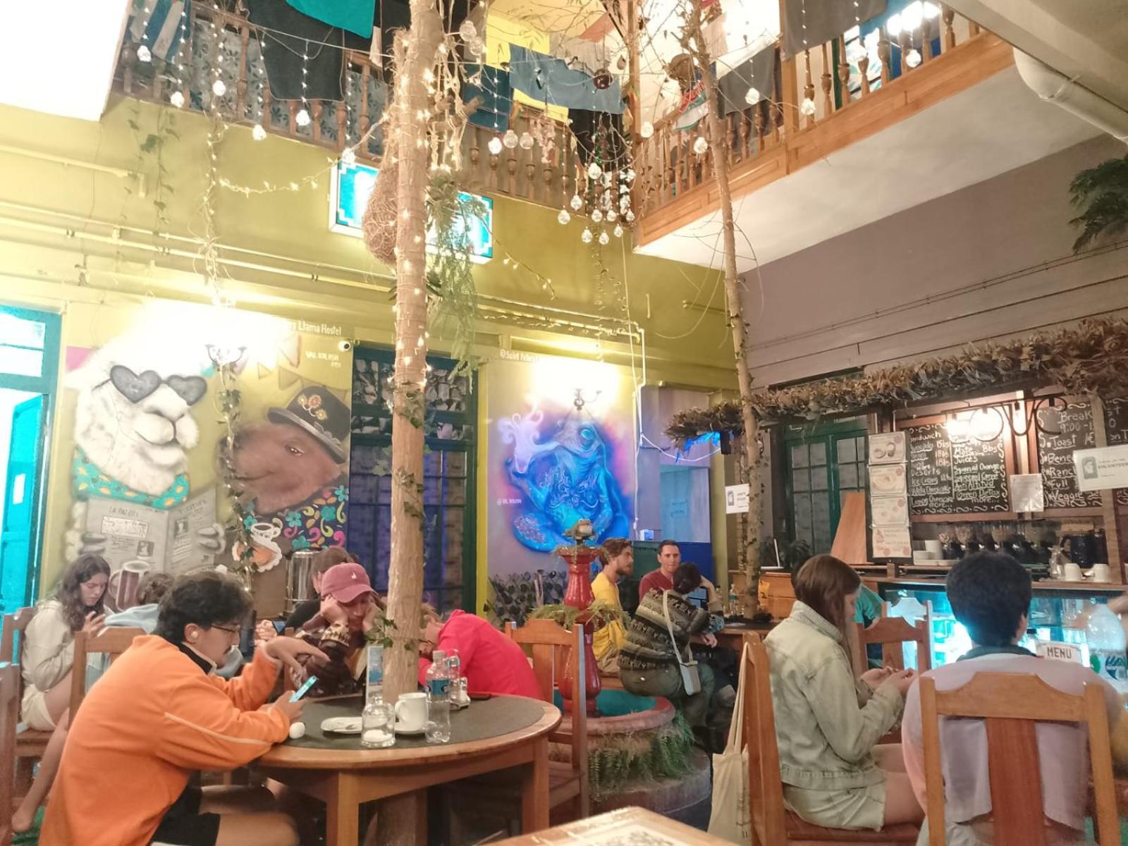 Saint Peter'S Llama Hostal La Paz Extérieur photo