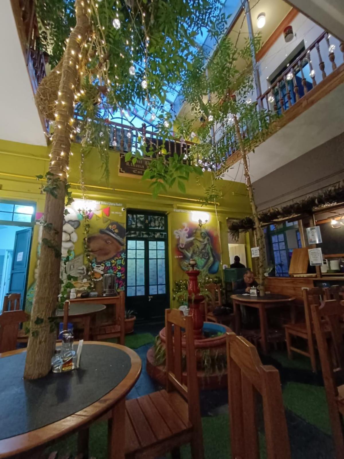 Saint Peter'S Llama Hostal La Paz Extérieur photo